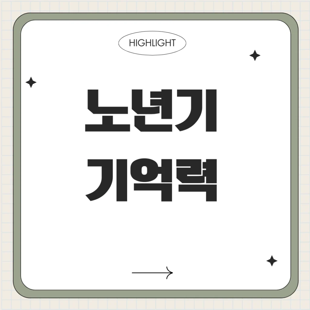 노년기 기억력 지키는 특급 비법! 2025년 최신 뇌 자극 습관 완전정복 1 노년기 기억력